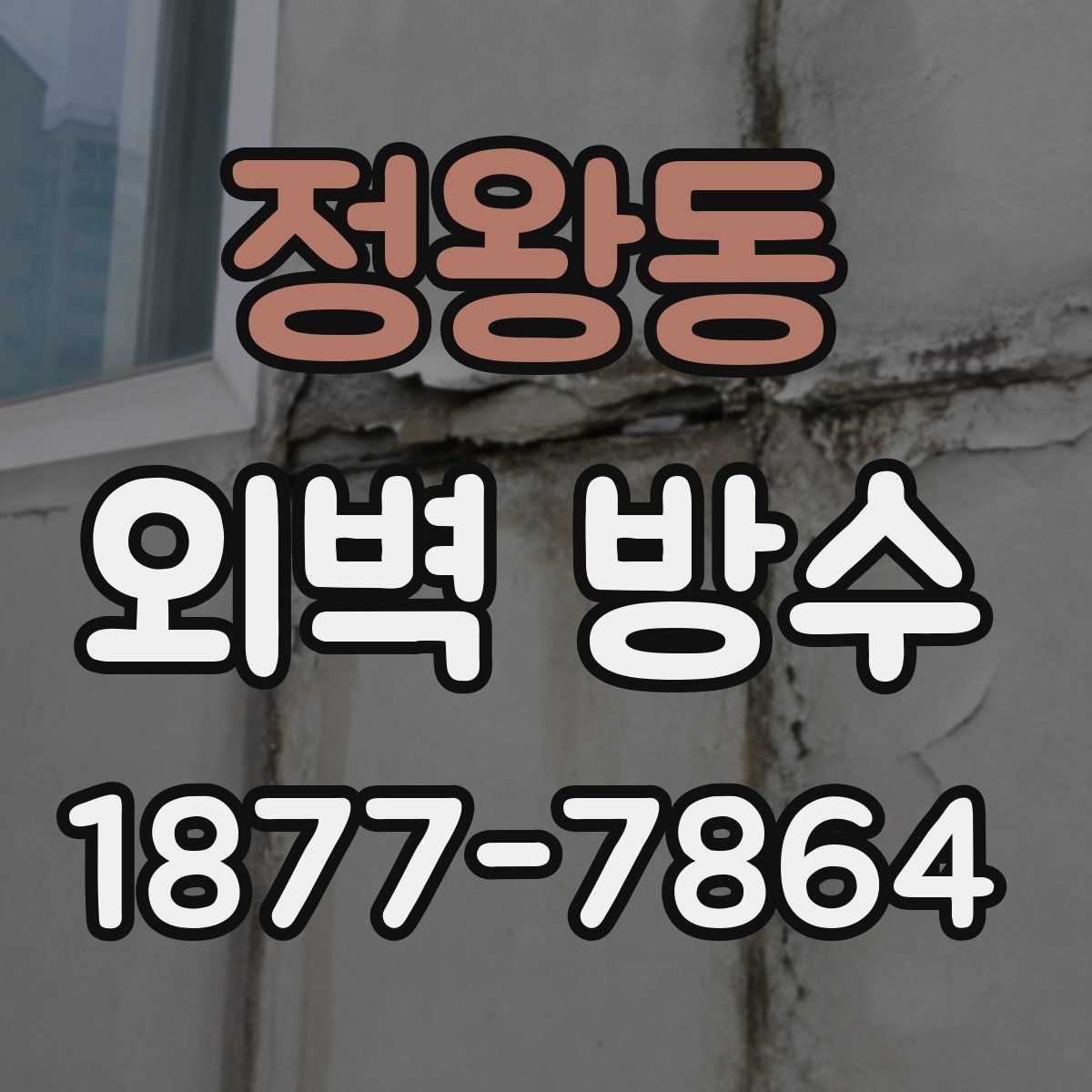 정왕동 외벽 방수