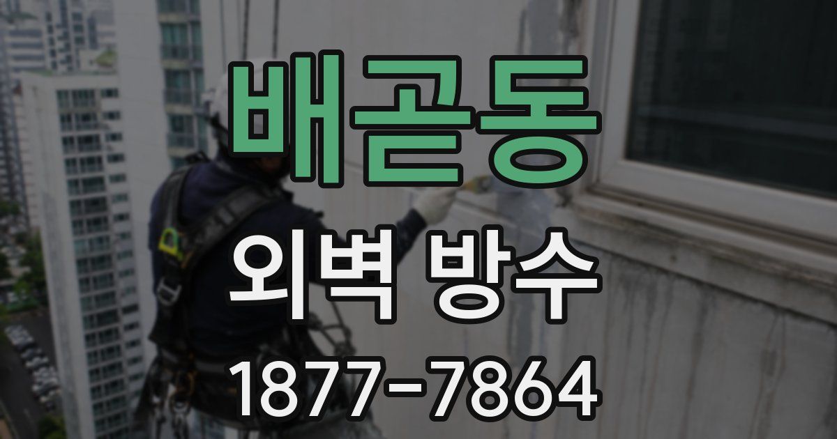 배곧동 외벽 방수