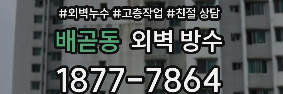 배곧동 외벽 방수