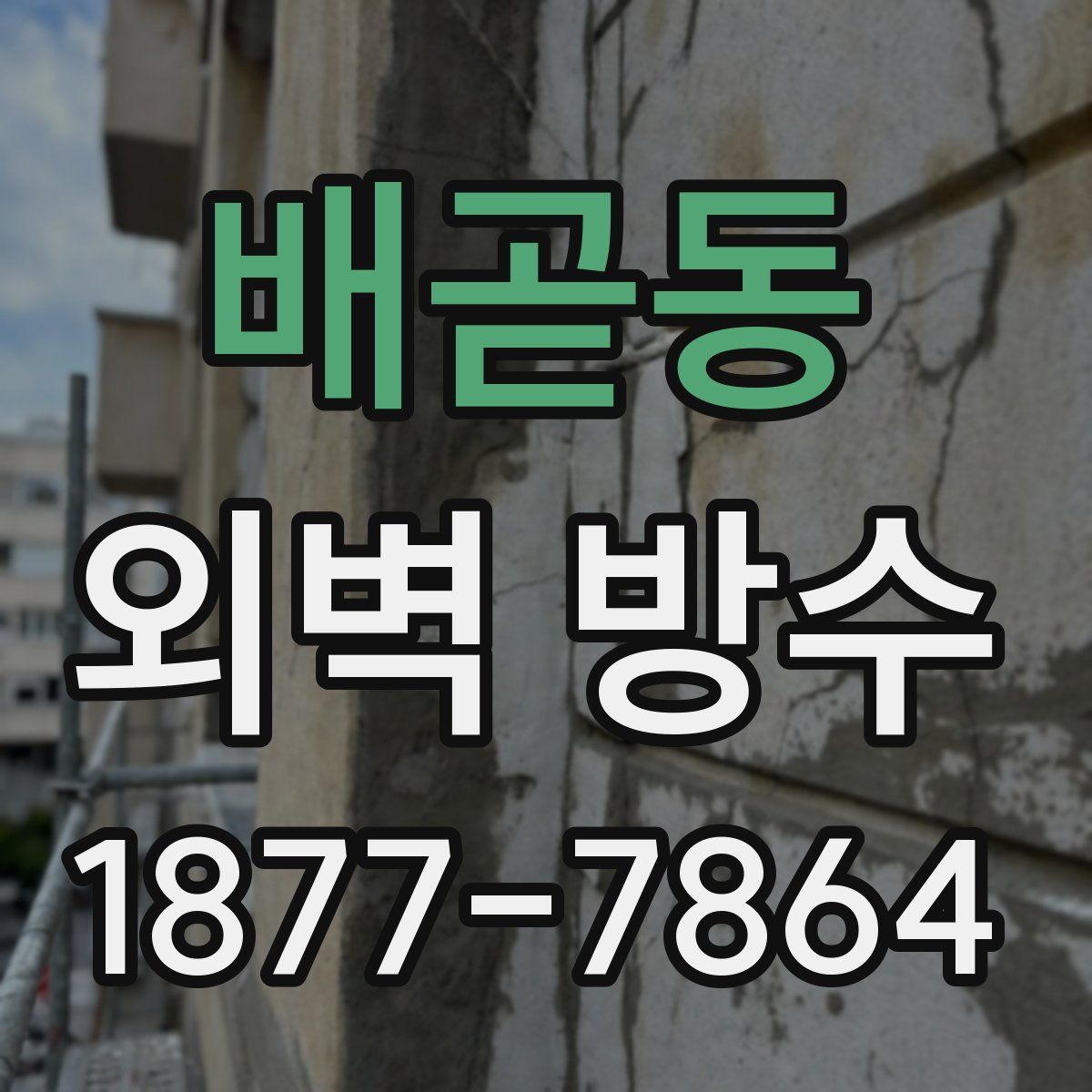 배곧동 외벽 방수