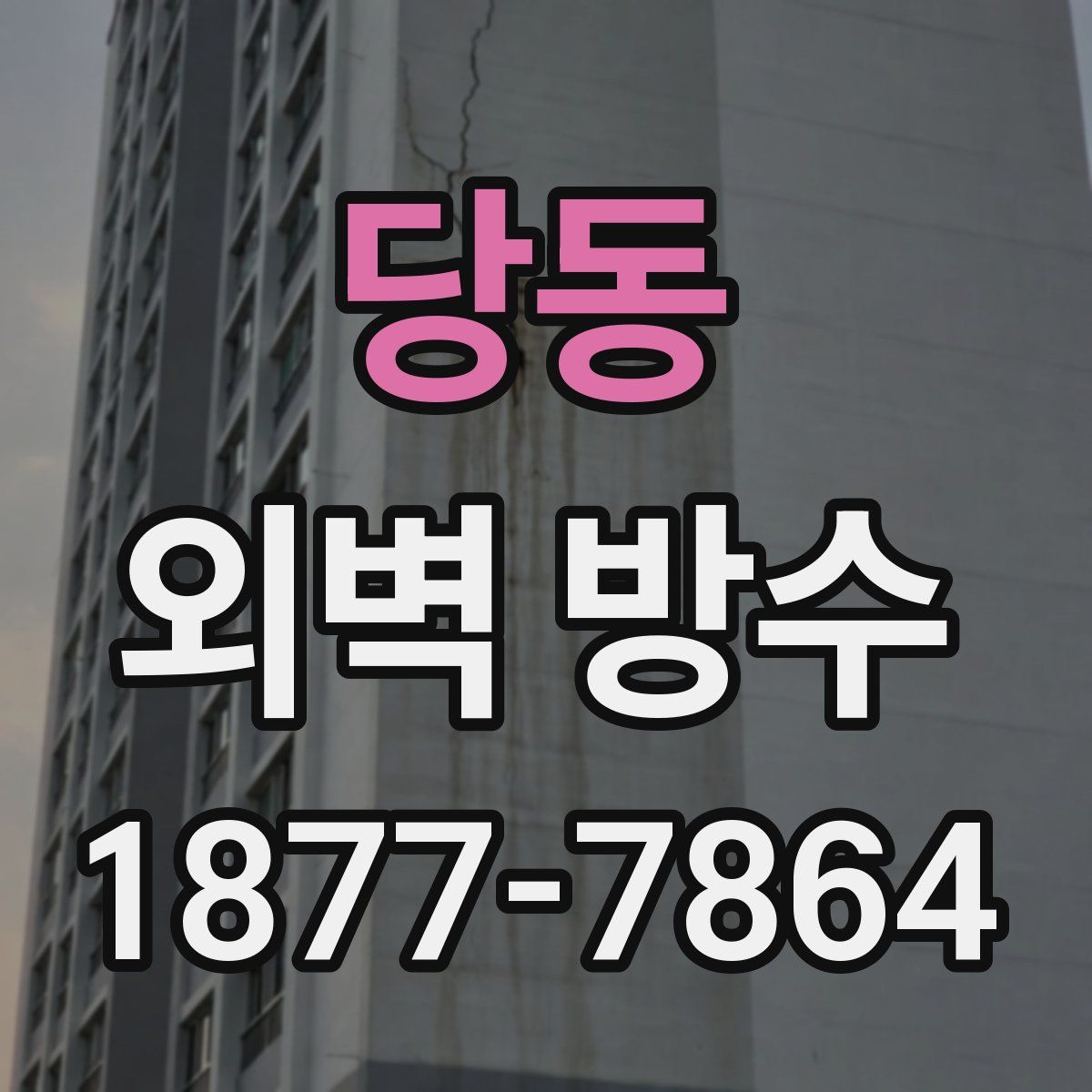 당동 외벽 방수