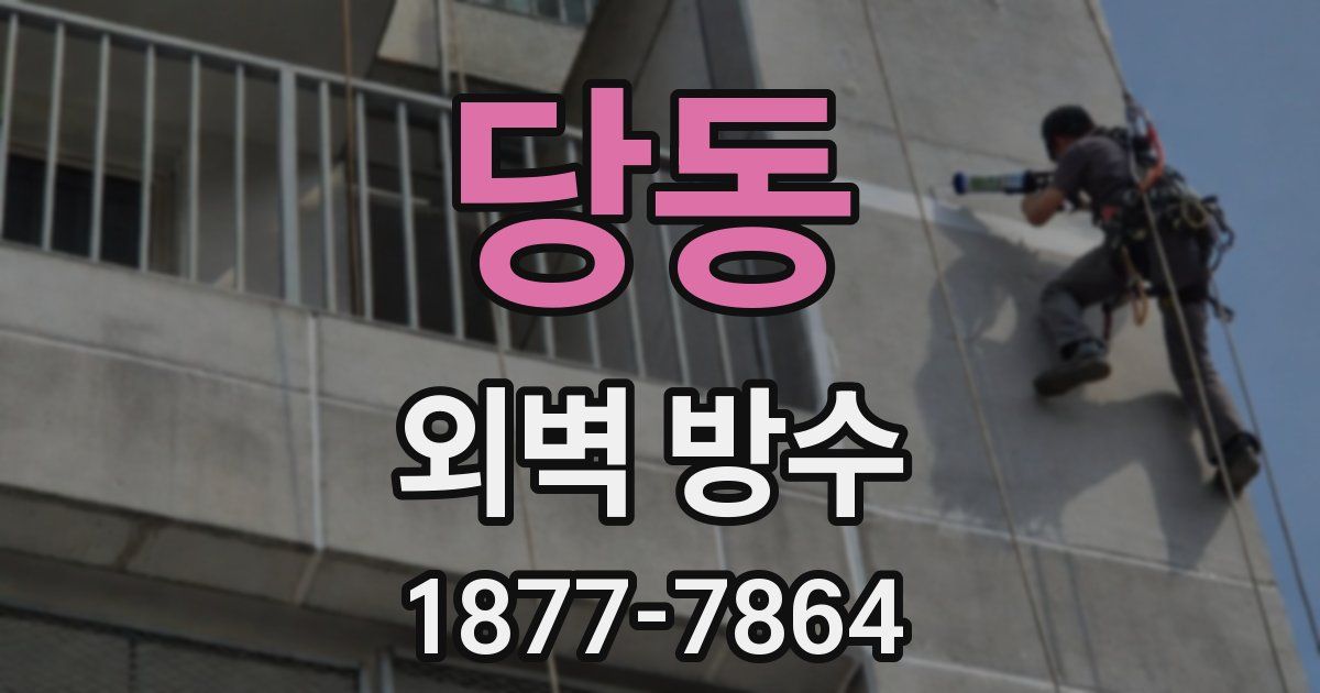 당동 외벽 방수