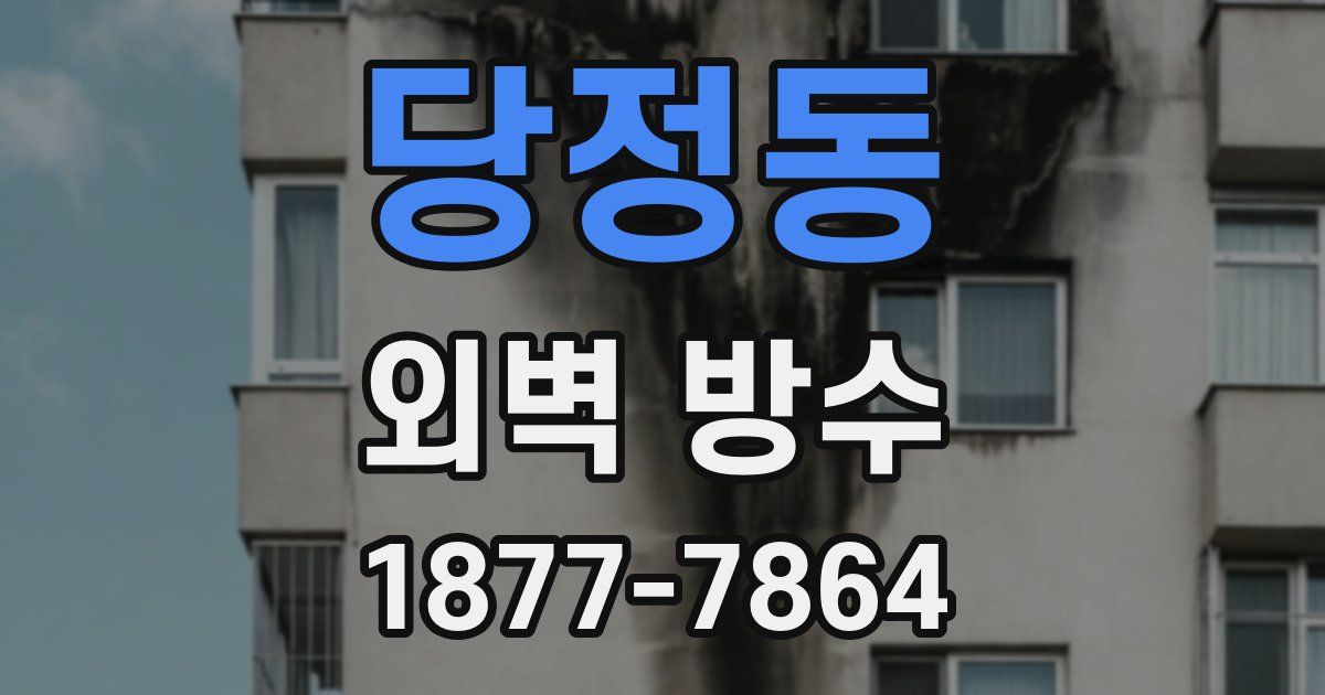 당정동 외벽 방수