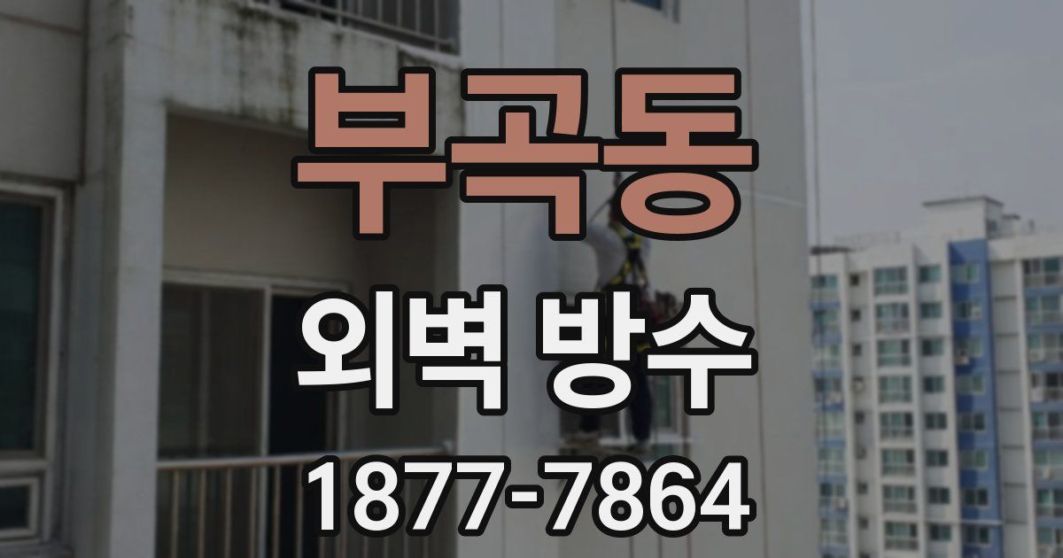 부곡동 외벽 방수