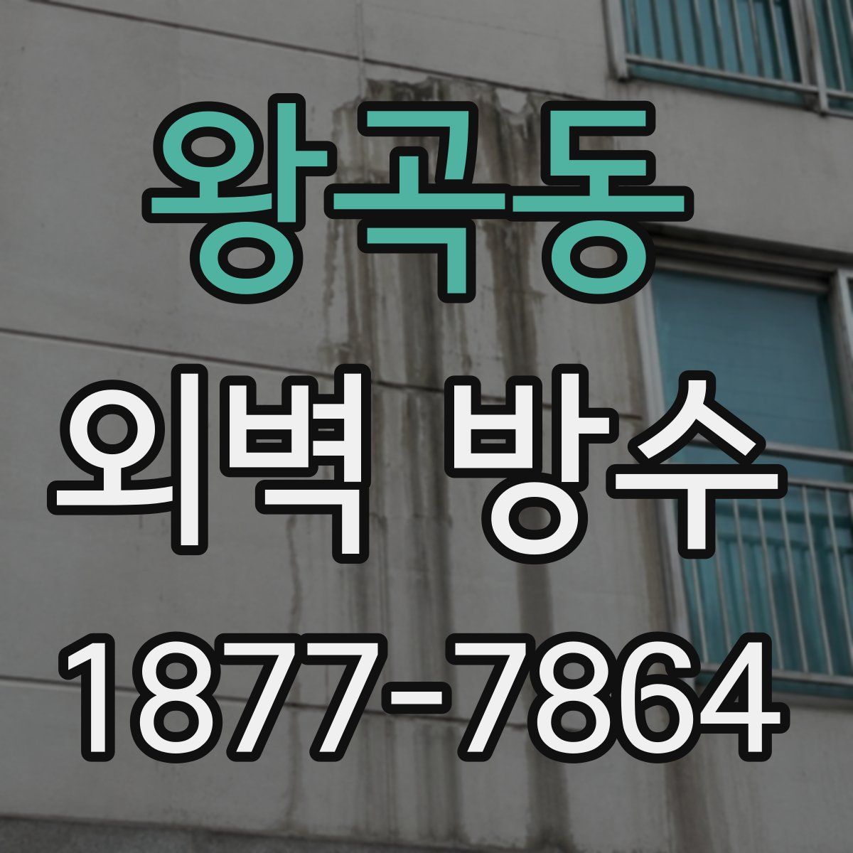 왕곡동 외벽 방수