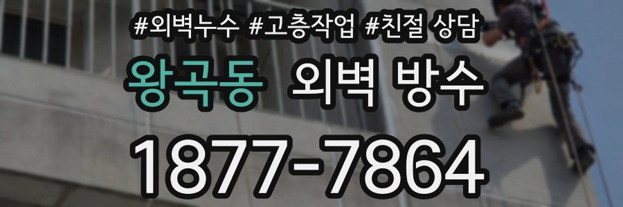 왕곡동 외벽 방수