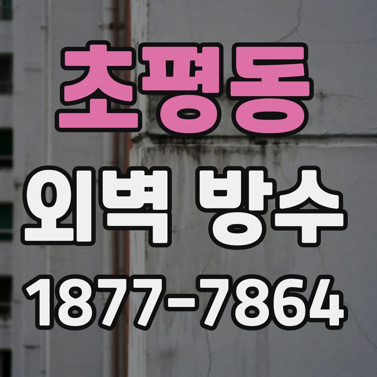 초평동 외벽 방수