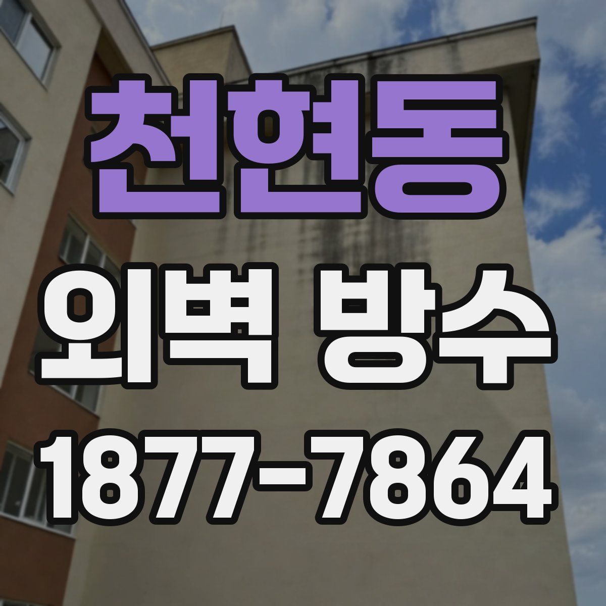 천현동 외벽 방수