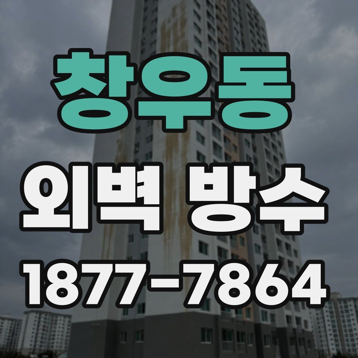 창우동 외벽 방수 작업에 적합한 장비와 도구