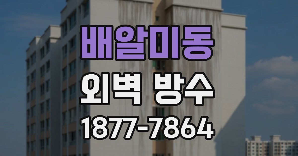 배알미동 외벽 방수