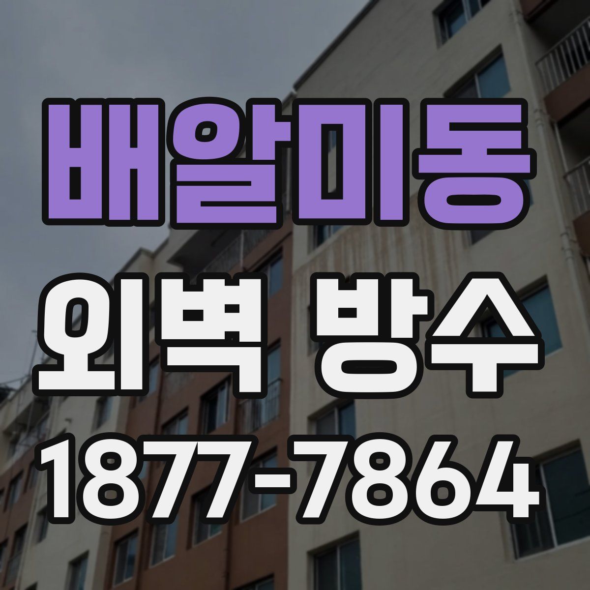 배알미동 외벽 방수