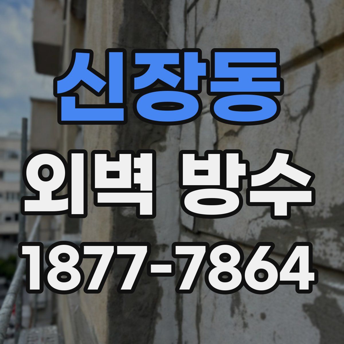 신장동 외벽 방수