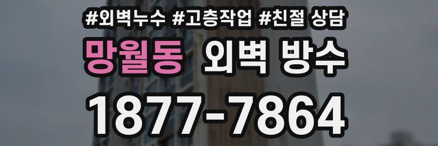 망월동 외벽 방수