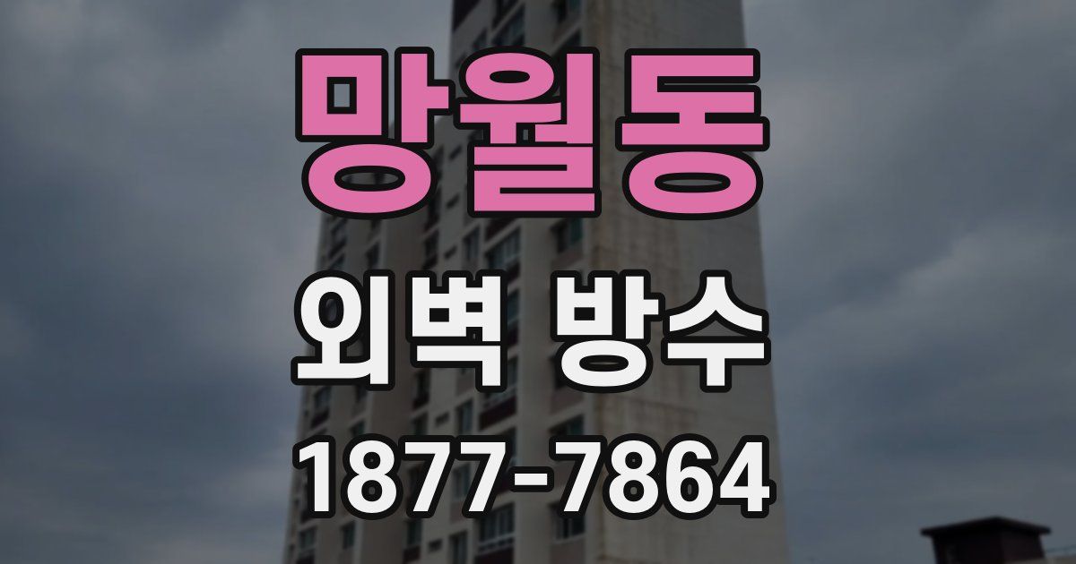 망월동 외벽 방수