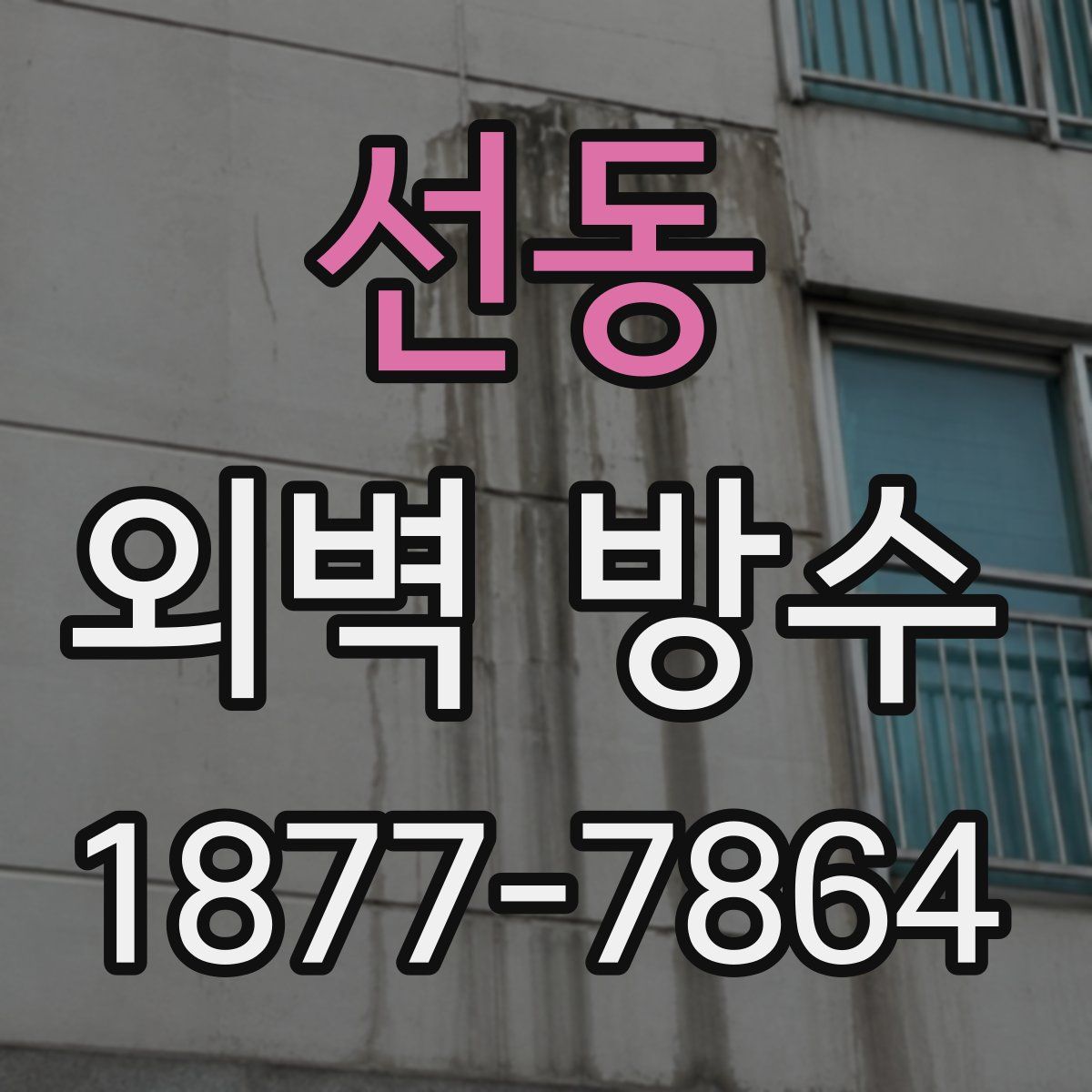 선동 외벽 방수