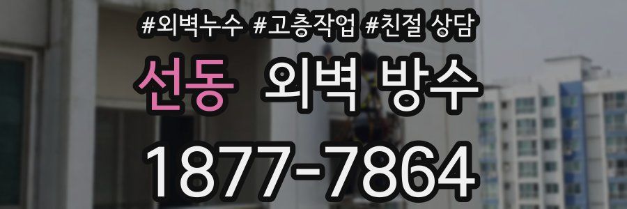선동 외벽 방수
