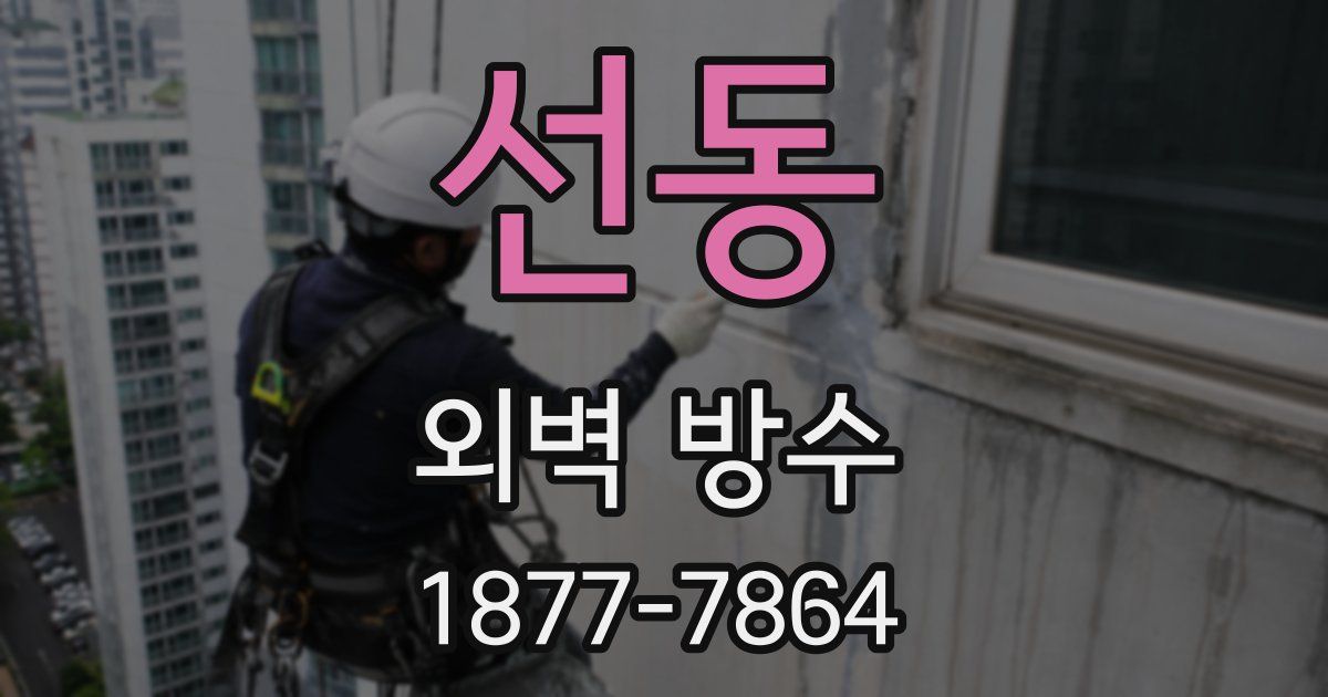 선동 외벽 방수