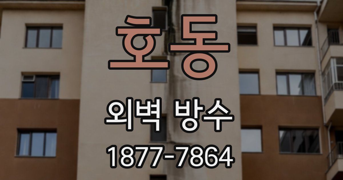 호동 외벽 방수