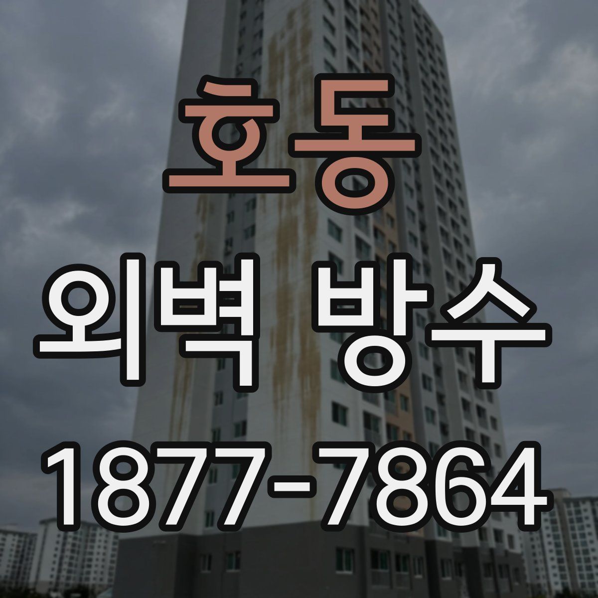 호동 외벽 방수
