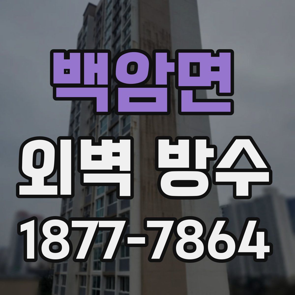 백암면 외벽 방수