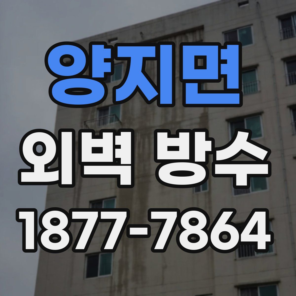 양지면 외벽 방수
