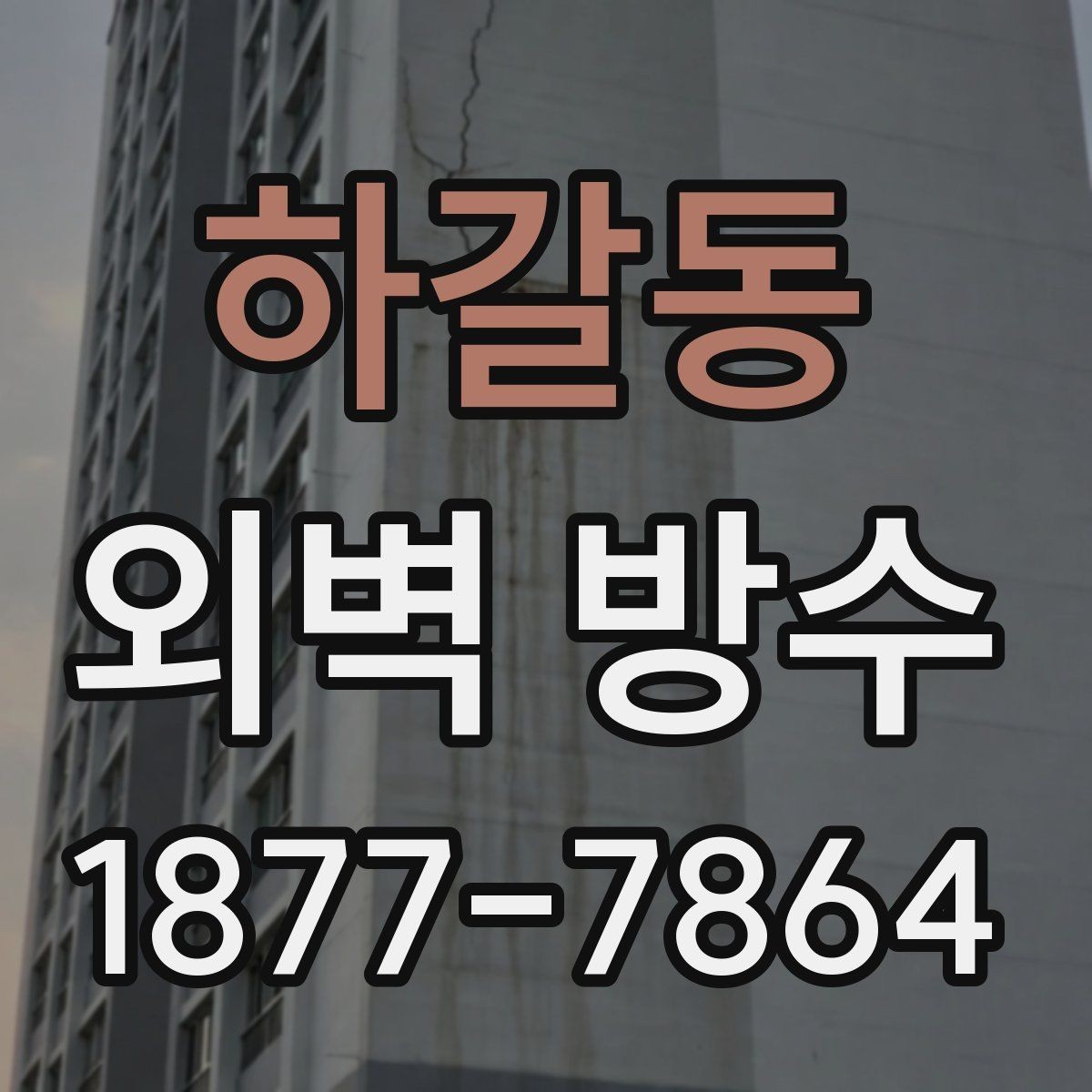 하갈동 외벽 방수 시공 전 벽면 청소가 필요한 이유