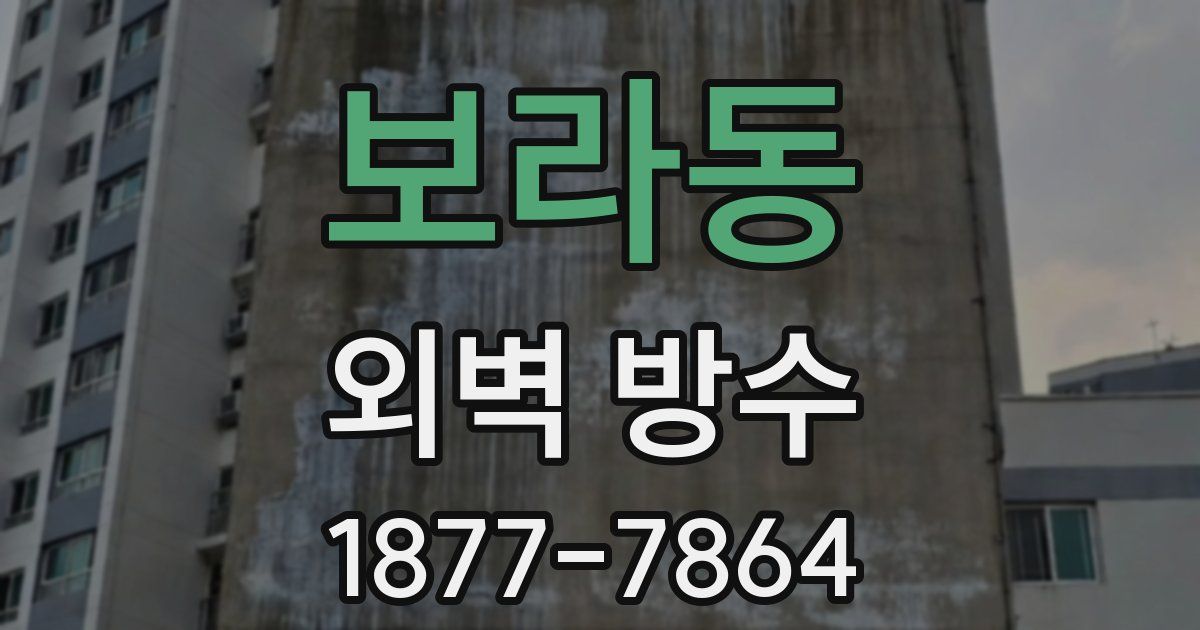 보라동 외벽 방수
