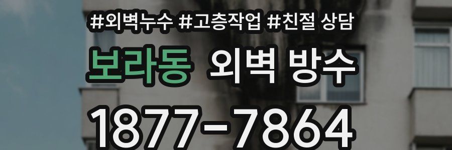보라동 외벽 방수