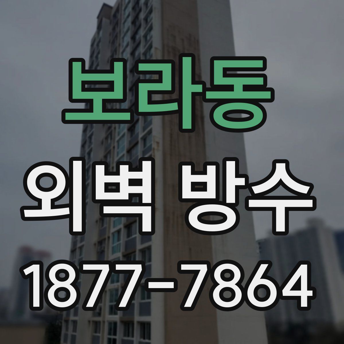 보라동 외벽 방수