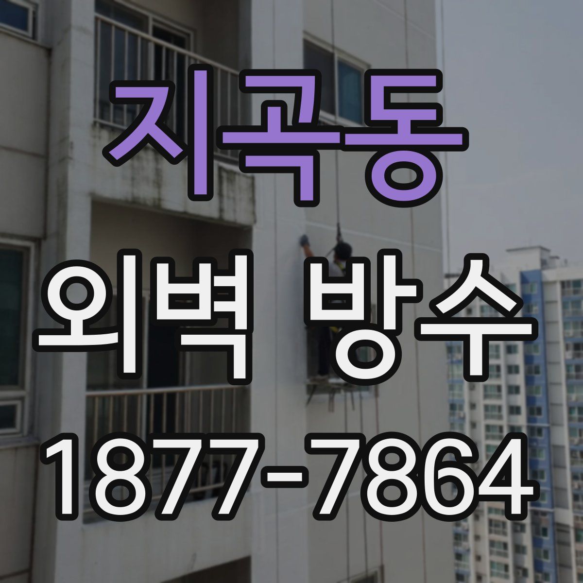 지곡동 외벽 방수