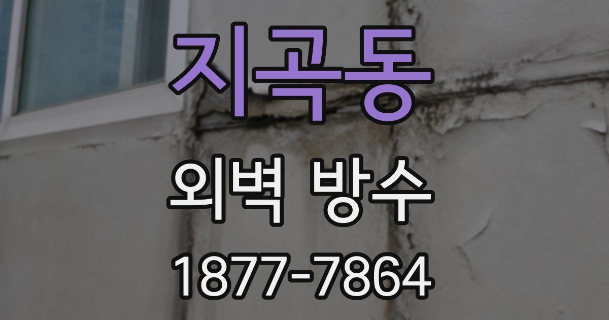 지곡동 외벽 방수