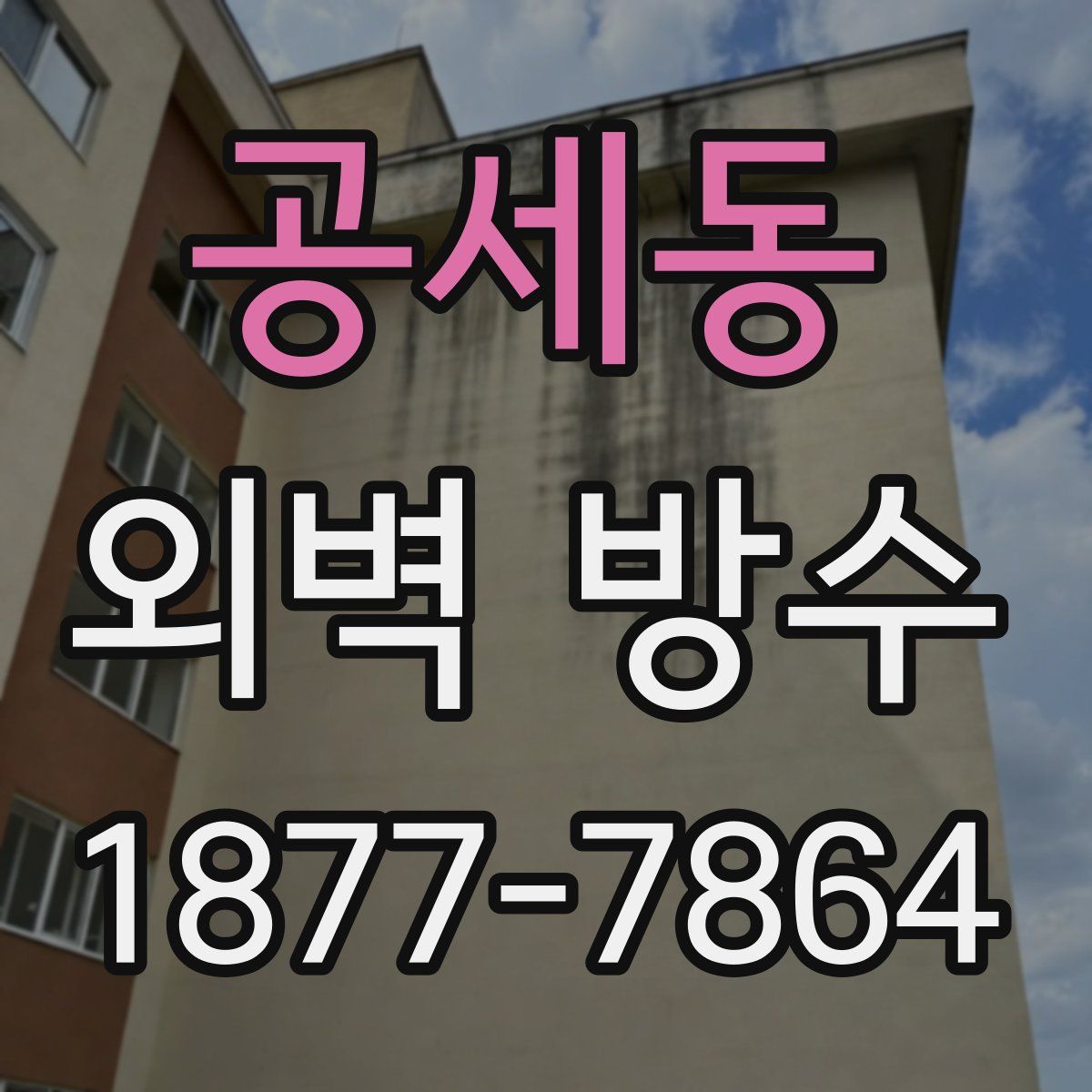 공세동 외벽 방수