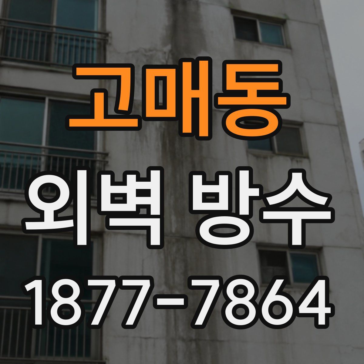 고매동 외벽 방수
