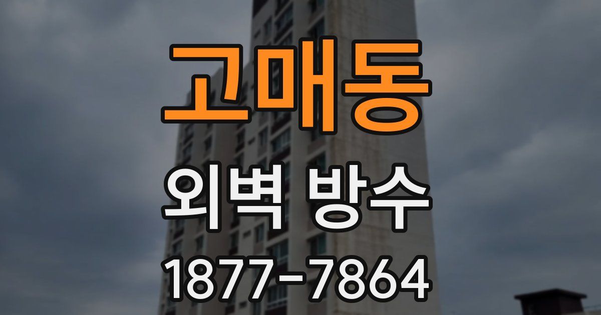 고매동 외벽 방수