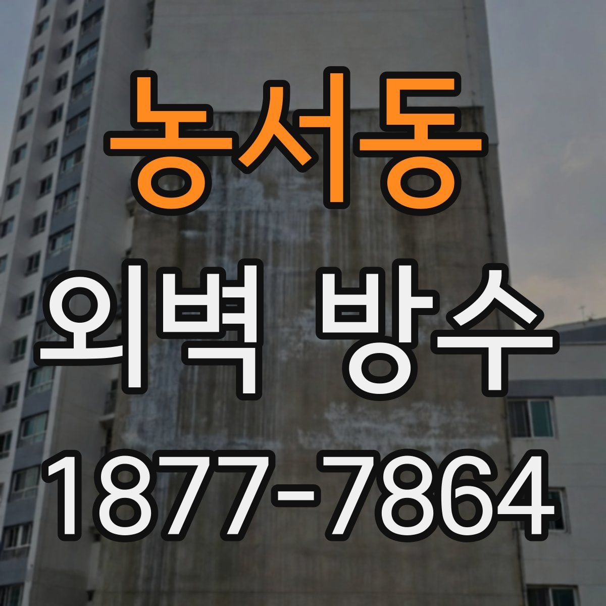 농서동 외벽 방수