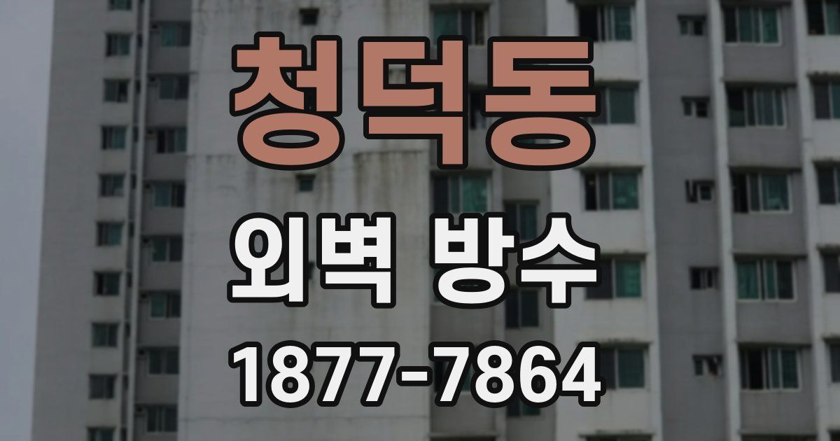 청덕동 외벽 방수
