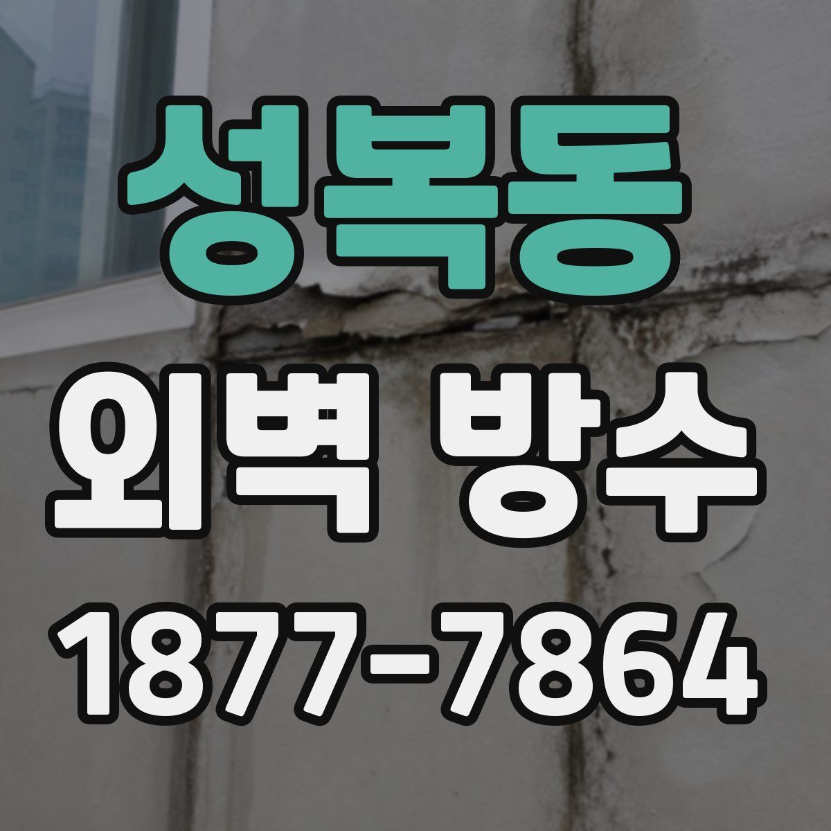 성복동 외벽 방수