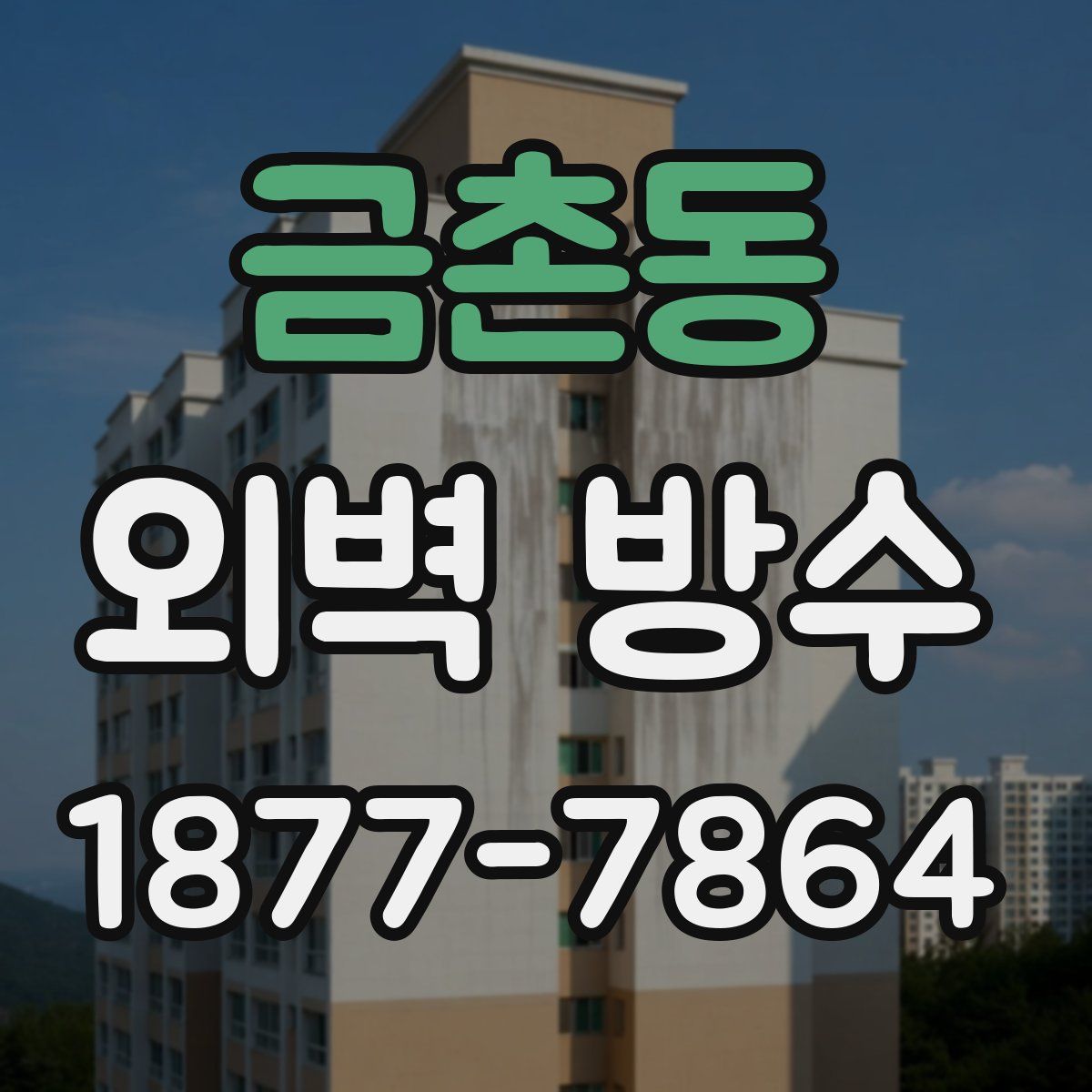 금촌동 외벽 방수