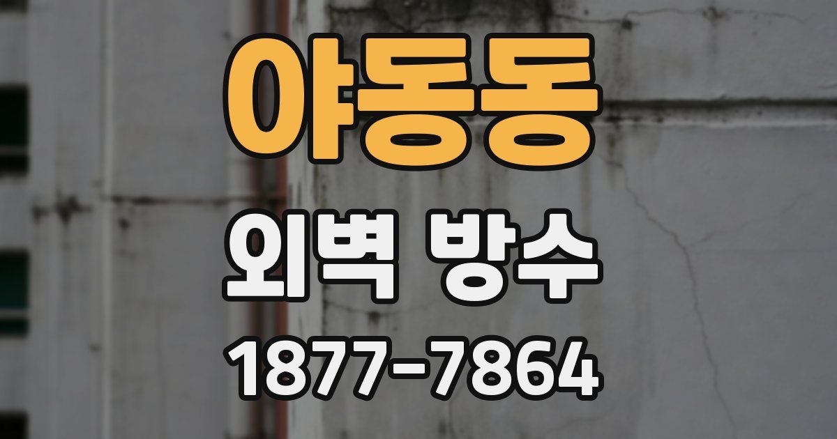 야동동 외벽 방수