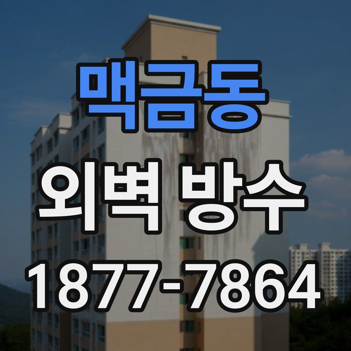 맥금동 외벽 방수