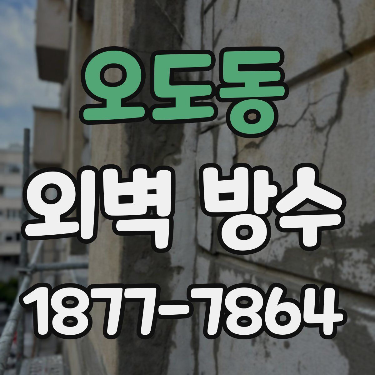 오도동 외벽 방수