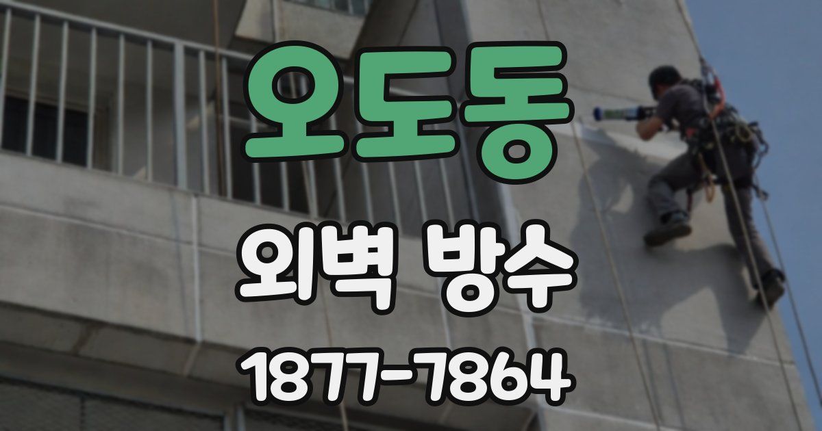 오도동 외벽 방수