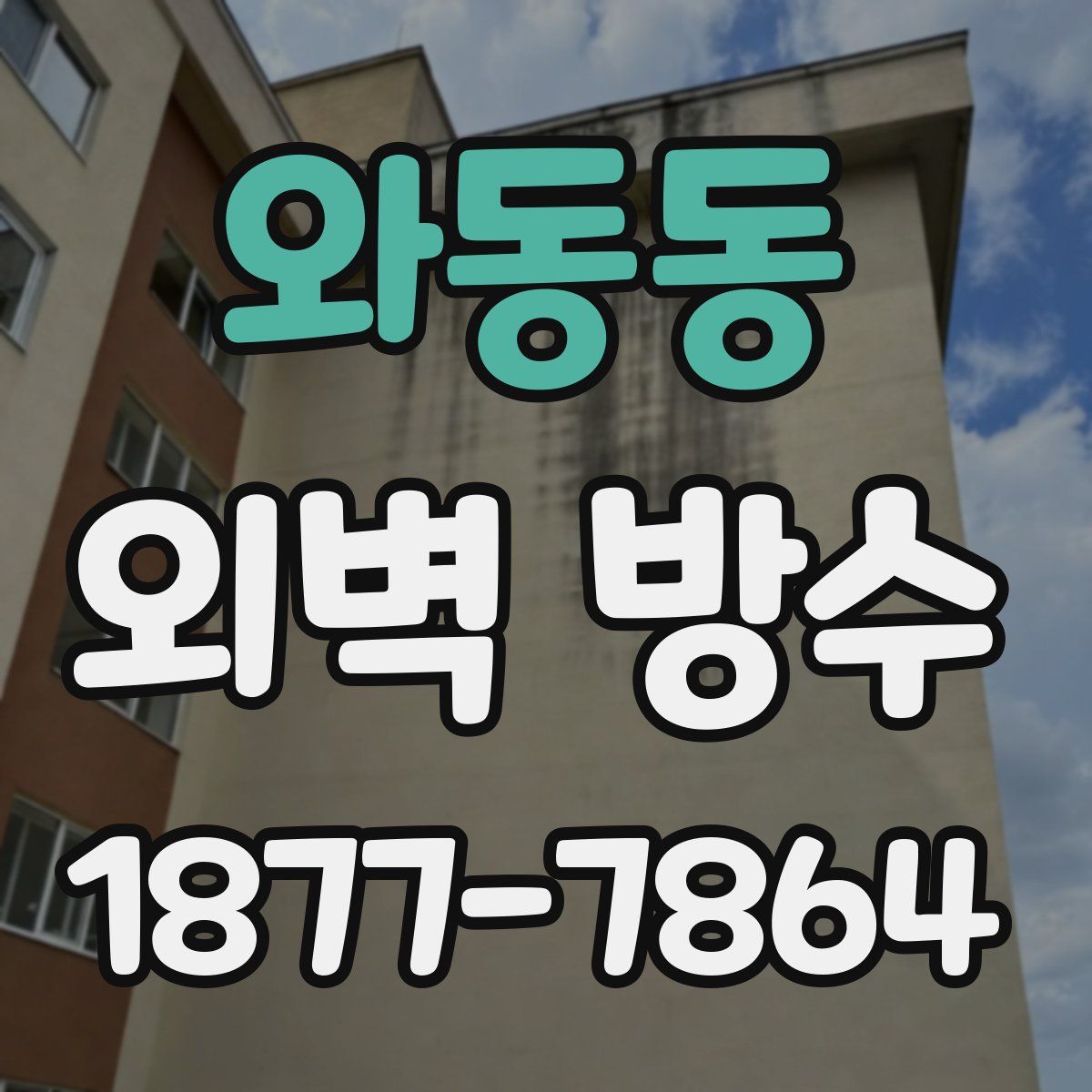 와동동 외벽 방수