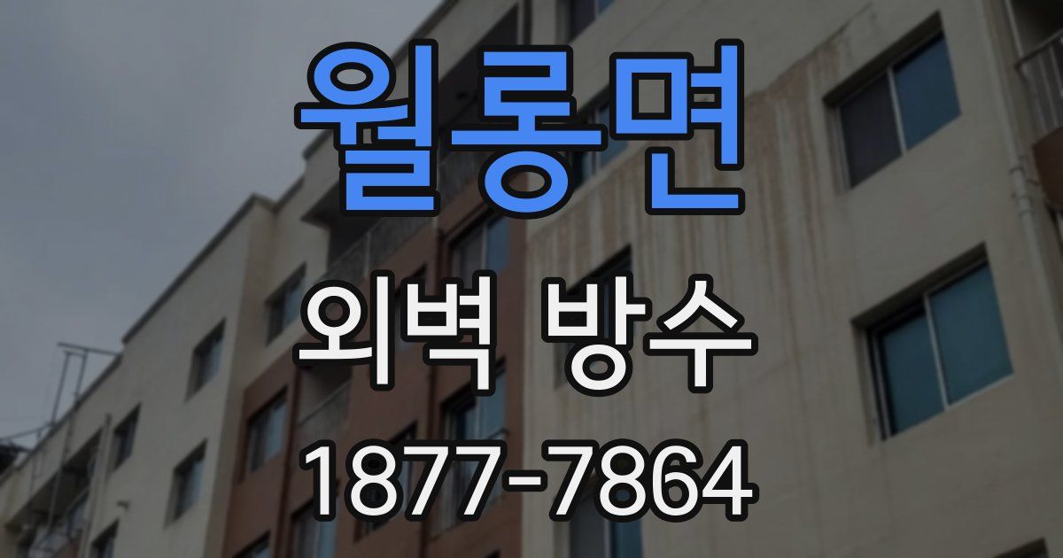 월롱면 외벽 방수