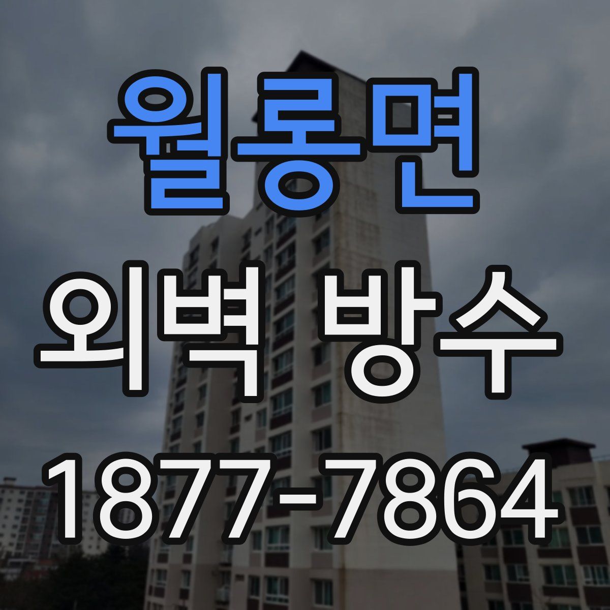 월롱면 외벽 방수