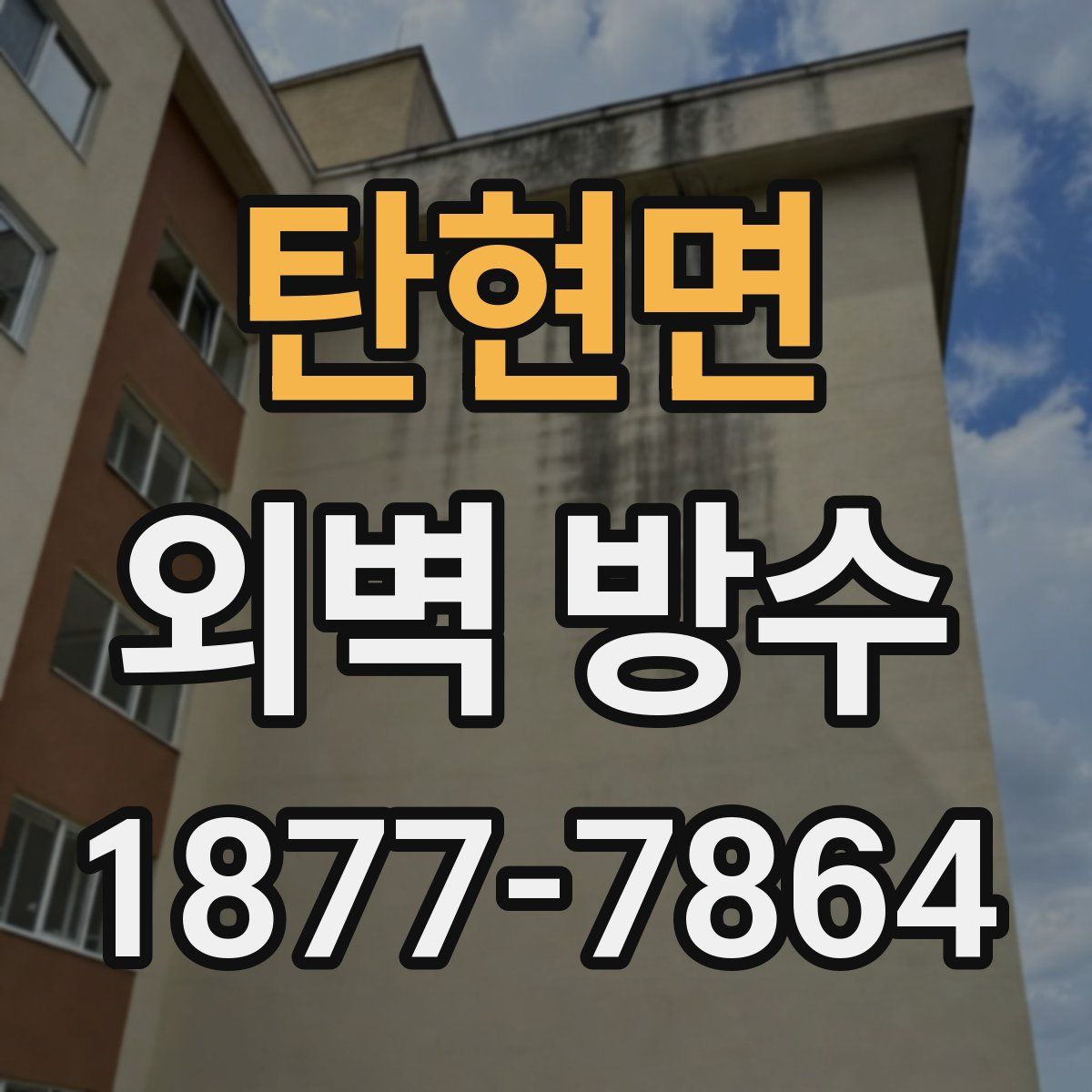 탄현면 외벽 방수