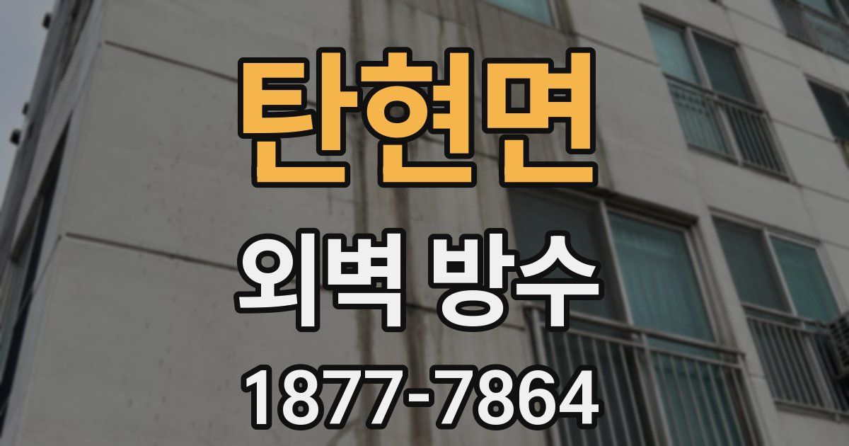 탄현면 외벽 방수
