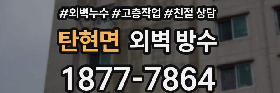 탄현면 외벽 방수