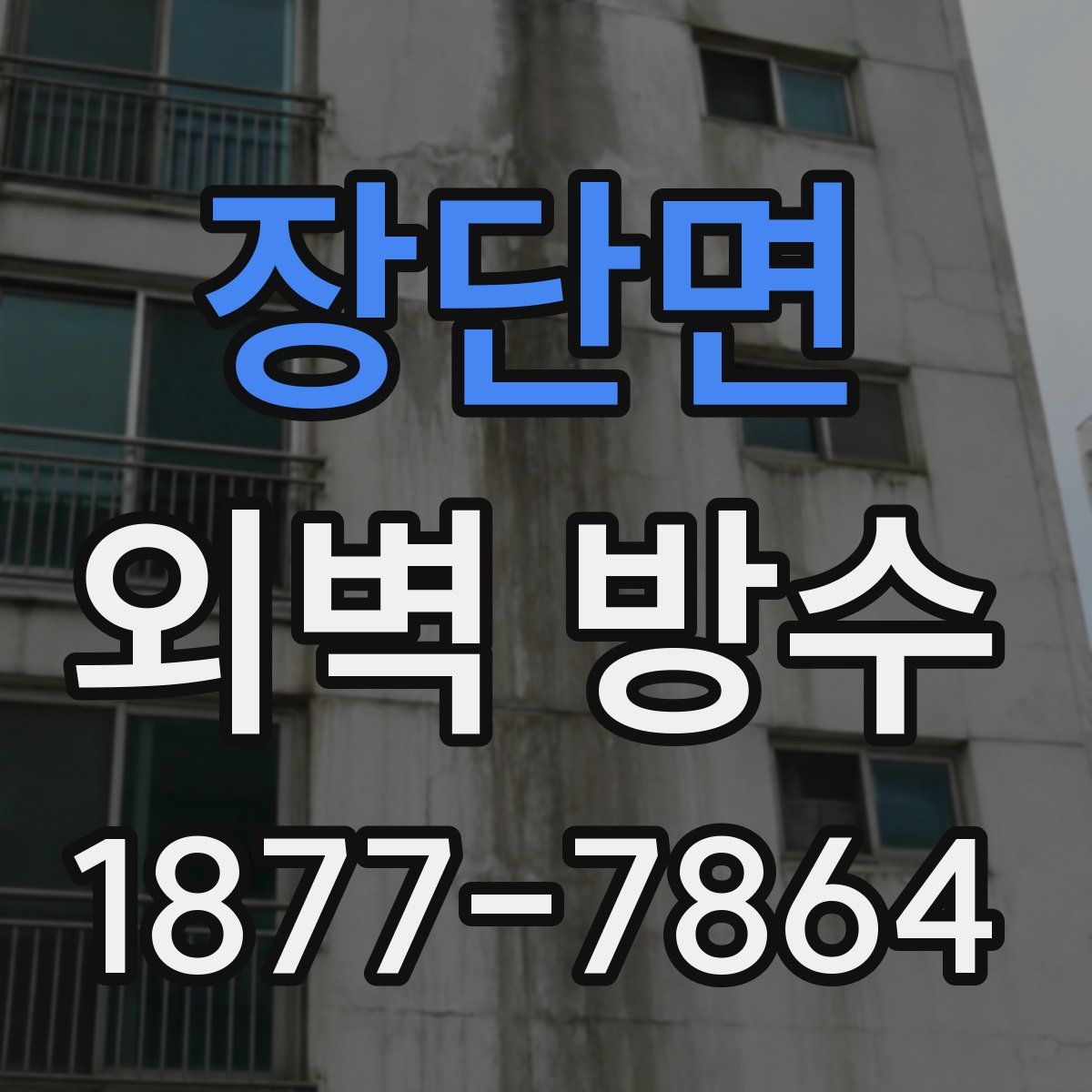 장단면 외벽 방수