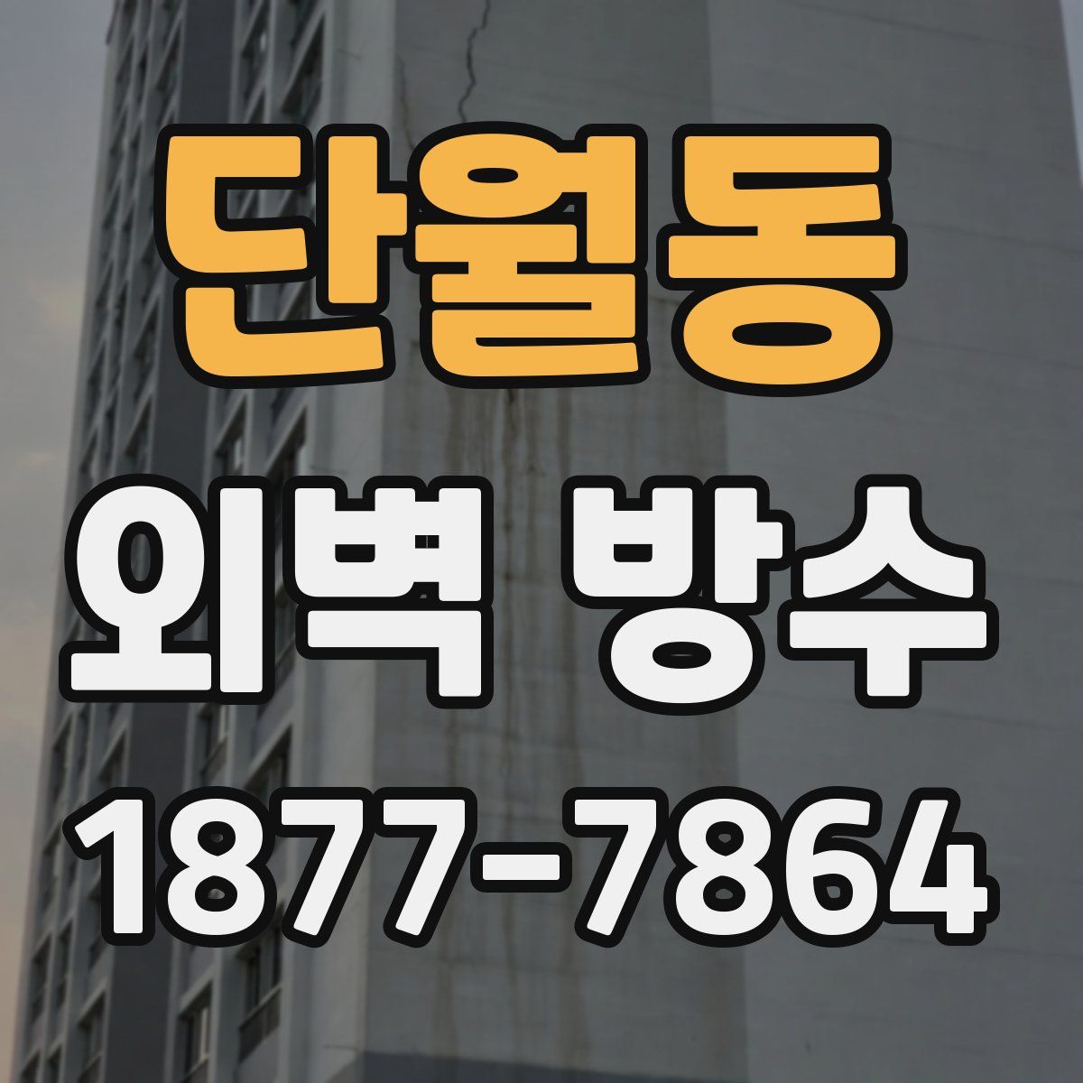 단월동 외벽 방수